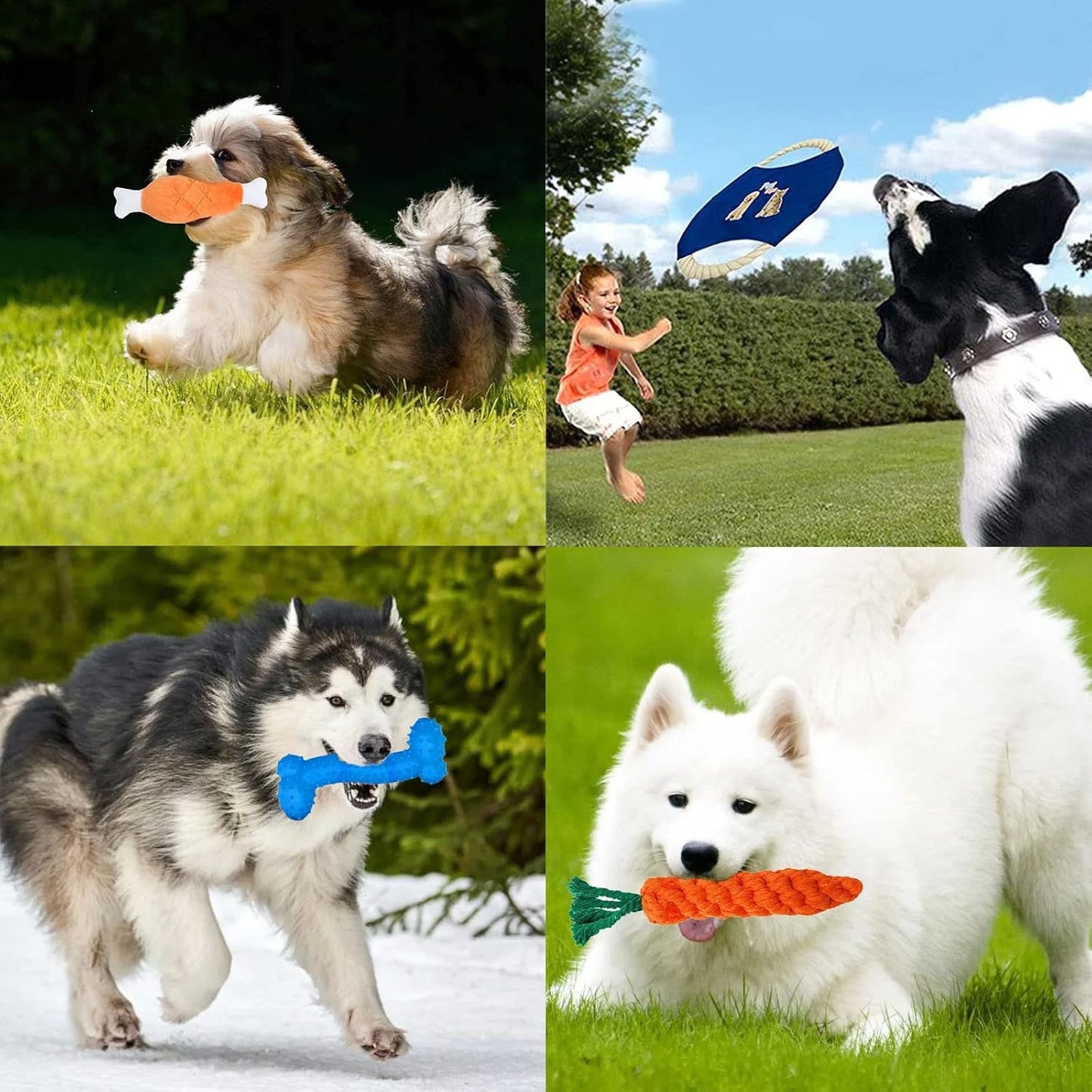 20 Jouets pour Chien