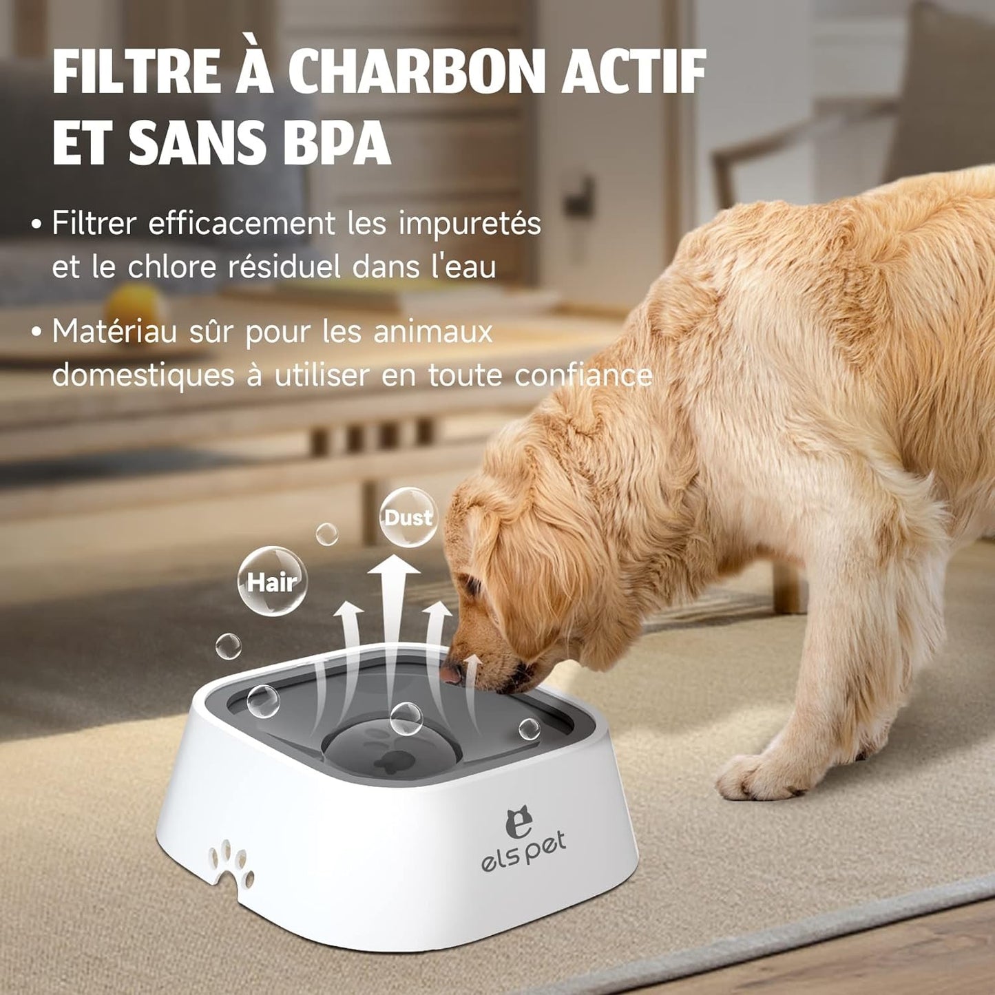 Gamelle anti-éclaboussure chien/chat 1L